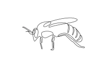 Honey Bee Continuous Line Drawing for Relaxed and Fun Sketching Practice
