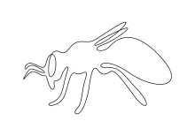 Minimalist Honey Bee Drawing: Use One Line to Build Art Confidence
