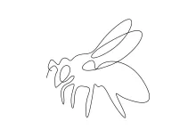 Simple One Line Drawing of a Honey Bee to Spark Creative Learning