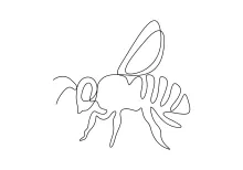 Honey Bee Single Line Drawing That Teaches Basic Art Skills to Everyone