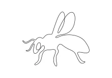 Practice One Line Drawing with a Honey Bee: Perfect for Young Learners