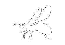 Draw a Honey Bee with One Line: Easy and Fun for All Skill Levels