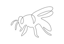 Fun and Easy Honey Bee One Line Drawing for Daily Art Practice