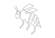 Honey Bee Drawing with a Single Line: Great for Beginners and Busy Artists