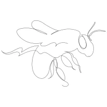 Easy One Line Drawing of a Flying Bee for Creative and Fun Practice