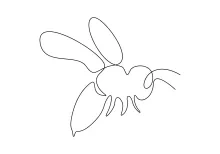 Honey Bee One Line Art for Calm and Focused Drawing Exercises