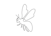 Draw a Honey Bee in One Line: Easy Art to Boost Drawing Confidence