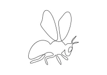 Creative One Line Drawing of a Honey Bee for All Ages