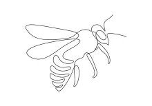 Simple Line Drawing of a Honey Bee for a Fun and Educational Art Activity