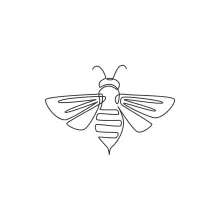 Learn to Draw a Bee in One Line: Simple Art for All Ages
