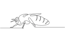 Practice Simple Bee Drawing with One Line: Great for Kids and Adults