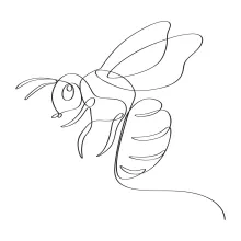 One Line Honey Bee Drawing That Builds Confidence in Beginners