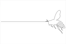 Creative One Line Honey Bee Art for Simple and Smart Sketching