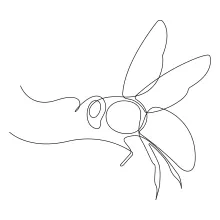 Fun and Easy One Line Drawing of a Flying Bee