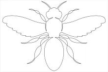 Draw a Honey Bee with One Line: Simple Art for Busy Hands