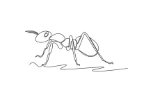Easy One-Line Ant Drawing: Practice Body Segments with Simple Shapes