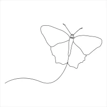 Continuous Line Butterfly Insect Art: A Simple Way to Draw with Focus and Fun