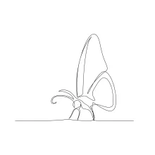 Springtime Butterfly Drawing in One Line: A Fun Way to Explore Flying Insects