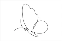 One Line Butterfly Drawing for All Ages: A Simple and Relaxing Art Practice