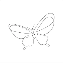 Draw a Butterfly with One Line: A Calm and Creative Drawing Activity
