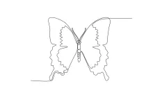 Draw a Butterfly in One Line: A Creative Way to Practice Nature Drawing