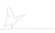 Easy Butterfly Drawing Using One Line: Great for Quick Art Breaks and Learning Shapes