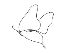 Draw a Butterfly in Just One Line: A Fun and Easy Art Activity for All Ages