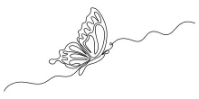 Learn One Line Butterfly Drawing: A Simple Way to Improve Drawing Focus