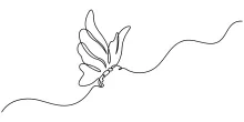 Draw a Flying Butterfly in One Line: Fun Nature Art for Beginners and Kids