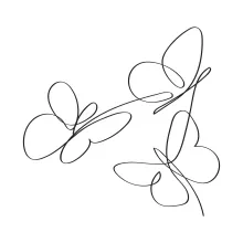 Easy One Line Drawing of Butterflies: Practice Nature Art with Simple Shapes