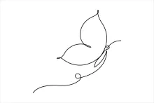 Butterfly Drawing in One Line: Practice Nature Art the Easy Way