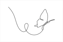 Draw a Butterfly Using One Line: Simple Art for Nature-Inspired Creativity