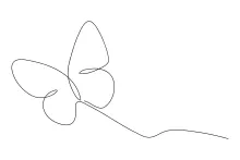 Elegant Butterfly Drawing with a Single Line: A Calm Way to Learn Art Basics