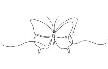 Beautiful Butterfly in One Line: Simple Drawing That Builds Focus and Skill