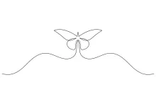 Butterfly One Line Art: A Creative and Relaxing Drawing Style