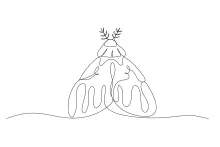 One-Line Night Moth Drawing: Build Symmetry Skills Through Winged Insect Design