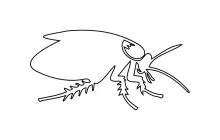 Cockroach in One Line: Practice Smooth Curves and Basic Insect Form