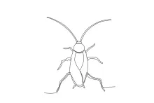 One-Line Cockroach Drawing: Long Body Practice for Simple Insect Art