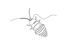 Simple One-Line Cockroach Drawing: Learn Long Shapes and Segment Practice