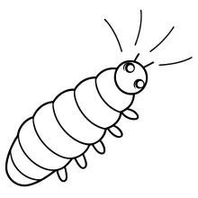 Cute Caterpillar in One Line: Build Observation Skills with Fun Segment Practice