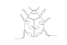 Simple One-Line Ladybug Drawing: Easy Circle Practice for Young Artists