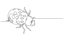 Draw an Adorable Ladybug in One Line: Strengthen Fine Motor Skills with Insect Shapes