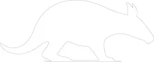 "One-Line Aardvark Art: A Simplified Approach to Capturing Recognizable Animal Figures"