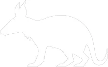 "Minimalist Aardvark Sketch: A One-Line Study of Distinct and Engaging Animal Forms"