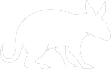 One-Line Aardvark Drawing: Easy Animal Art for Learning Unique Shapes