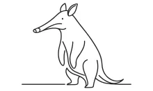 Simple One-Line Aardvark Art: Practice Rare Animal Shapes with Ease