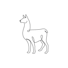 One Line Alpaca Drawing: Learn Soft Animal Forms from Mountain Creatures