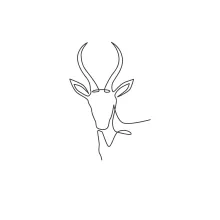 One Line Antelope Head Drawing: Learn Horn Shapes with Simple Animal Art