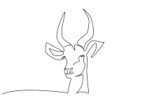 One-Line Antelope Head Drawing: Focus on Shape and Horns with Easy Lines