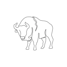 One Line Elegant Bison Drawing: Learn Wildlife Form with Simple Lines